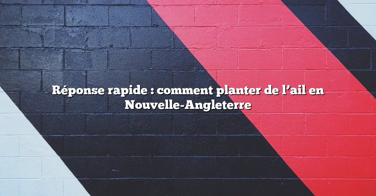 Réponse rapide : comment planter de l’ail en Nouvelle-Angleterre